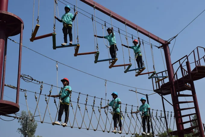 JUNGLE ADVENTURE CITY FOREST