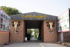 Madhavgarh Farm - Gurugram